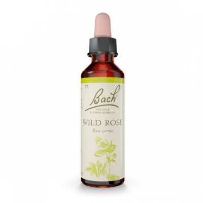 Bach Wild Rose 20ml